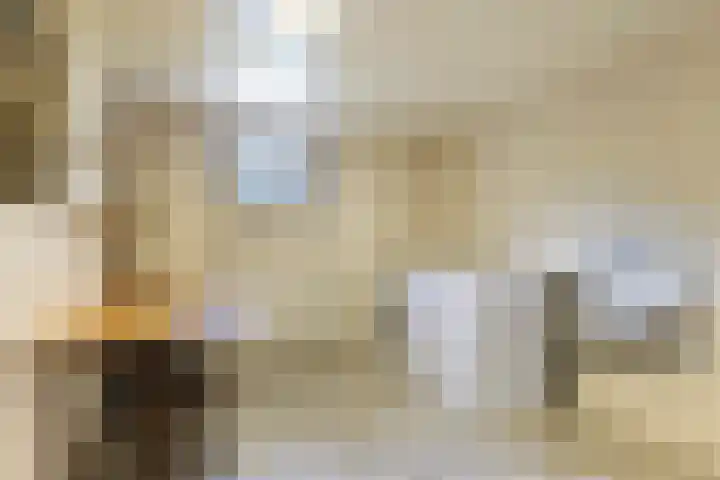 Binnenpaed 46 Jutrijp thumbnail 24