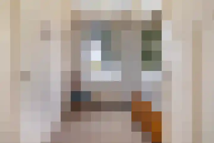 Binnenpaed 46 Jutrijp thumbnail 27