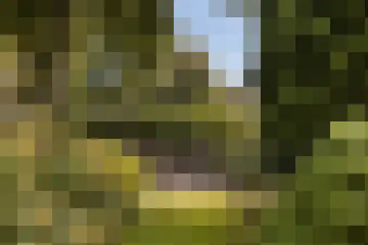 Binnenpaed 46 Jutrijp thumbnail 35