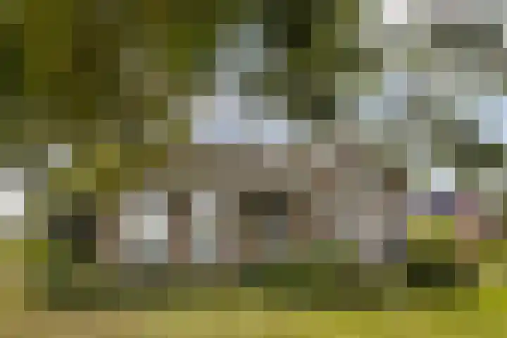 Binnenpaed 46 Jutrijp thumbnail 37