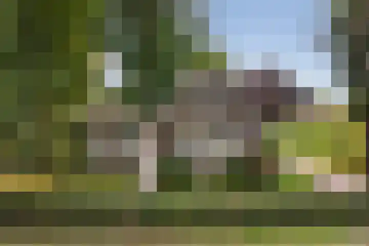 Binnenpaed 46 Jutrijp thumbnail 38