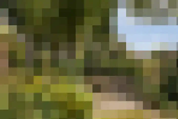 Binnenpaed 46 Jutrijp thumbnail 40