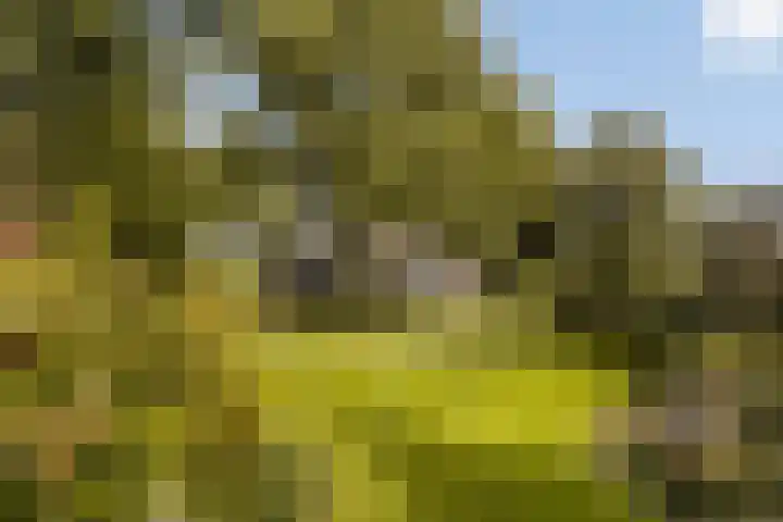 Binnenpaed 46 Jutrijp thumbnail 42