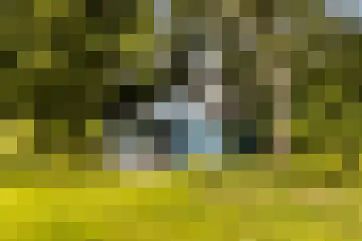 Binnenpaed 46 Jutrijp thumbnail 43