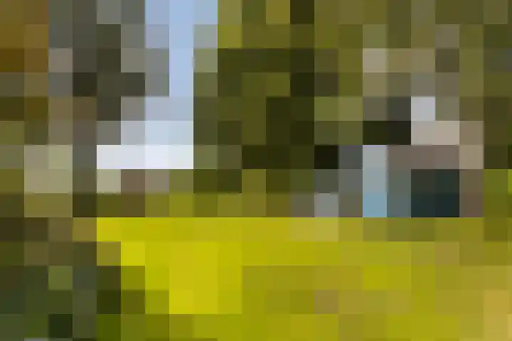 Binnenpaed 46 Jutrijp thumbnail 44