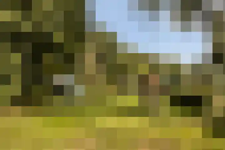 Binnenpaed 46 Jutrijp thumbnail 45