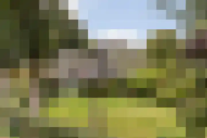 Binnenpaed 46 Jutrijp thumbnail 46
