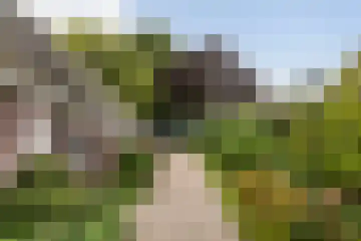Binnenpaed 46 Jutrijp thumbnail 47