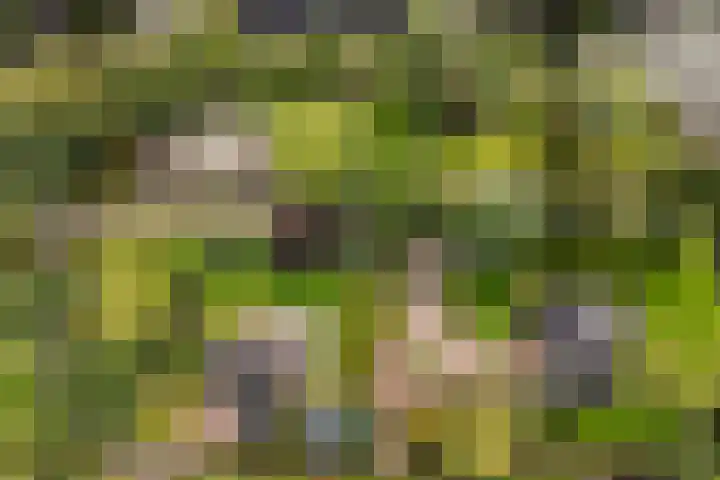 Binnenpaed 46 Jutrijp thumbnail 49