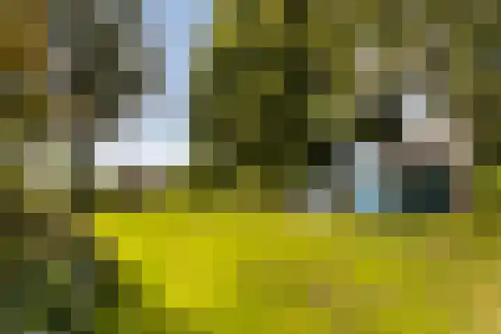 Binnenpaed 46 Jutrijp thumbnail 5