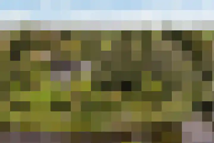Binnenpaed 46 Jutrijp thumbnail 50