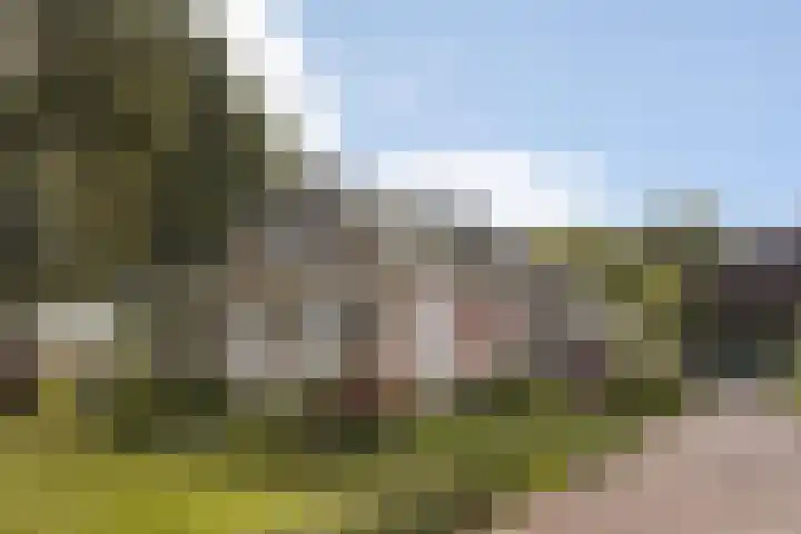 Binnenpaed 46 Jutrijp thumbnail 52