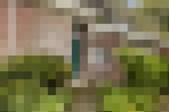 Binnenpaed 46 Jutrijp thumbnail 53