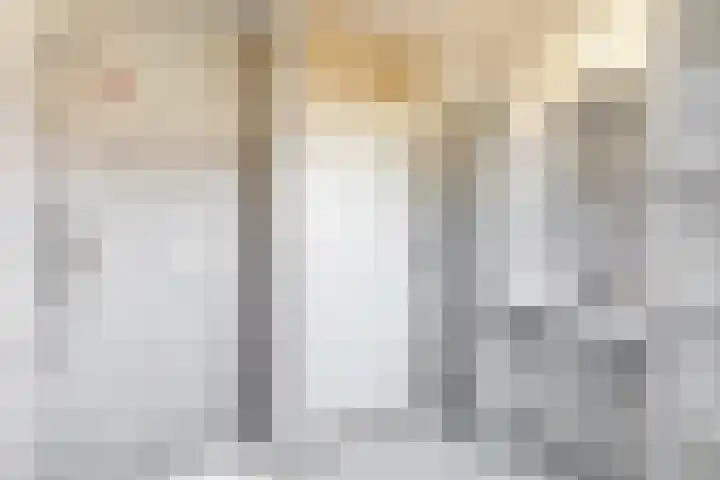 Binnenplaats 1 Blokker thumbnail 19