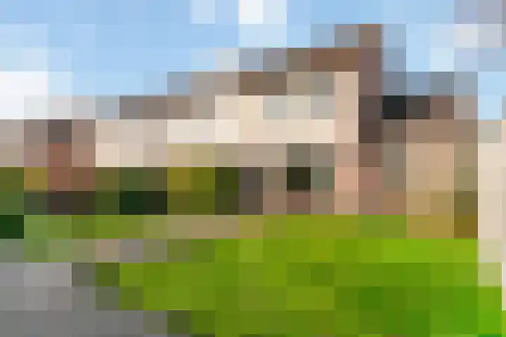 Binnenplaats 1 Blokker foto 2