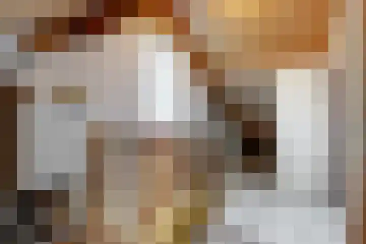 Binnenplaats 1 Blokker thumbnail 21