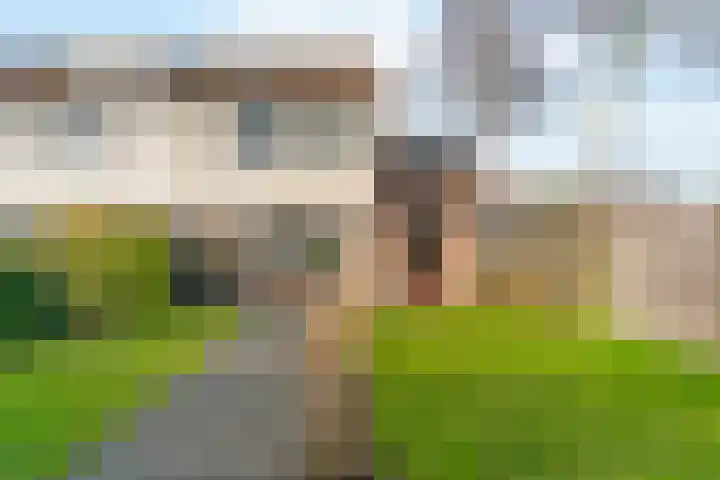 Binnenplaats 1 Blokker thumbnail 27