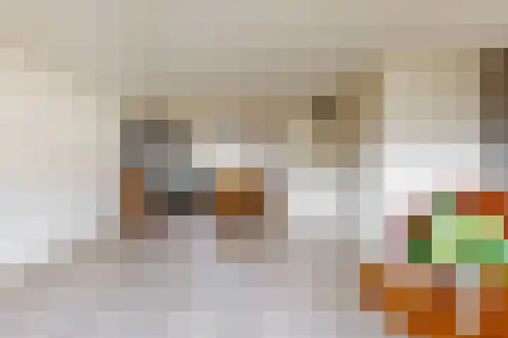 Binnenplaats 1 Blokker thumbnail 6