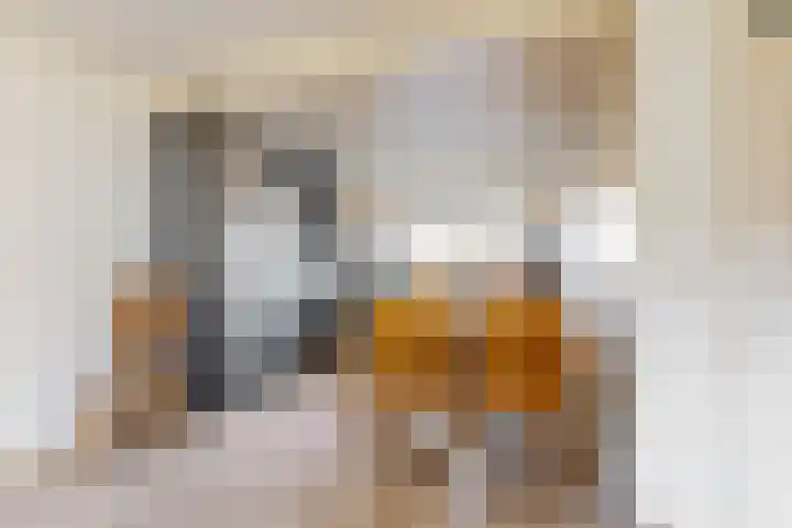 Binnenplaats 1 Blokker thumbnail 7