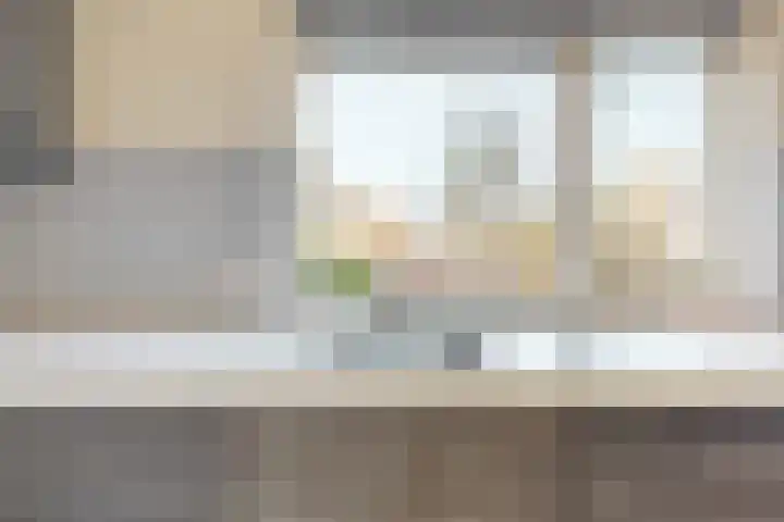 Binnenplaats 1 Blokker thumbnail 9