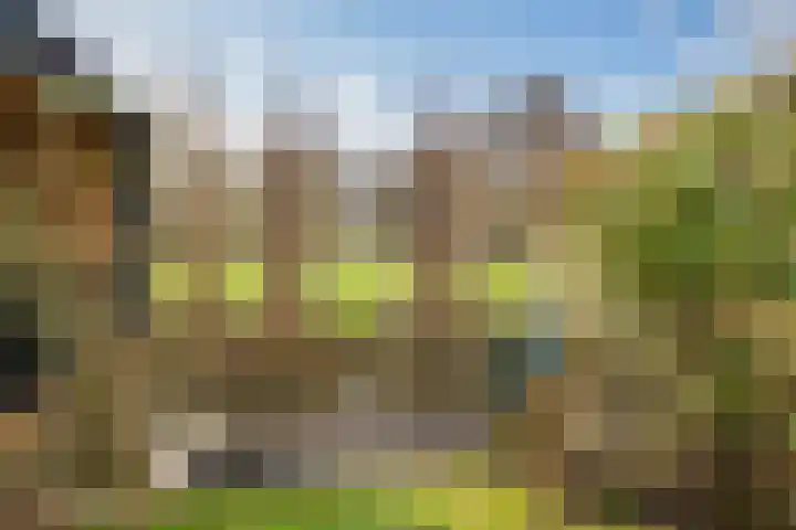Binnenplaats 32 Blokker thumbnail 22