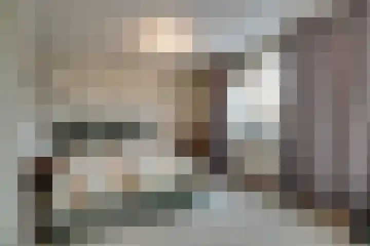 Binnenplaats 32 Blokker thumbnail 24