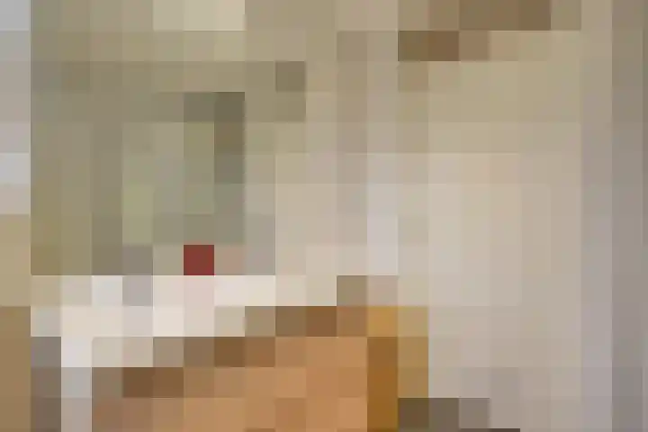 Binnenplaats 32 Blokker thumbnail 29