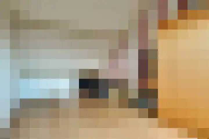 Binnenplaats 32 Blokker thumbnail 36