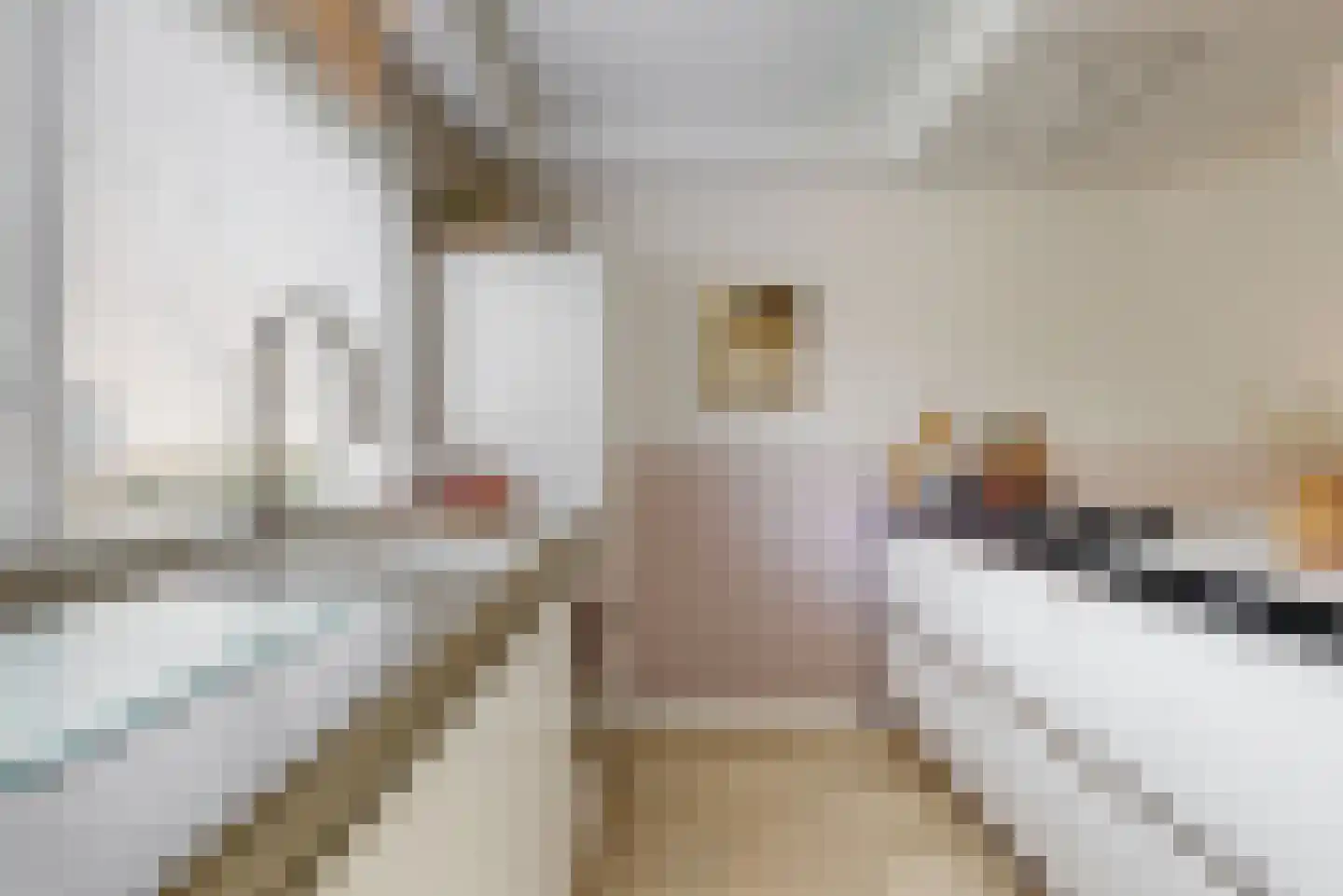Binnenplaats 42 Blokker thumbnail 12