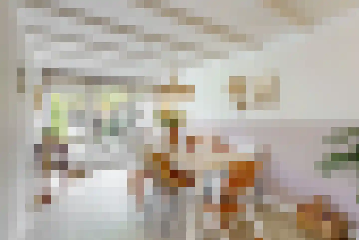 Binnenplaats 42 Blokker thumbnail 15