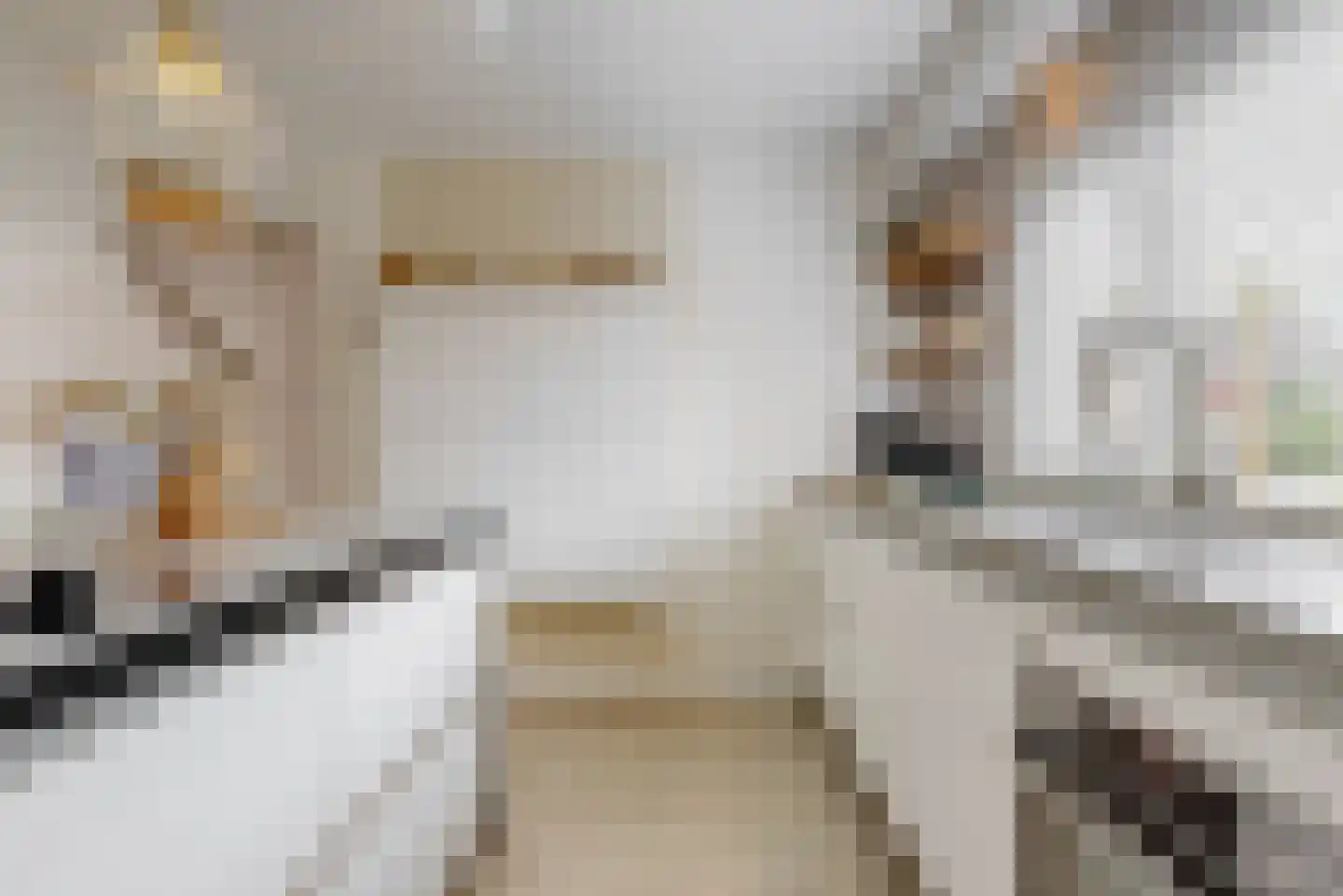 Binnenplaats 42 Blokker foto 3