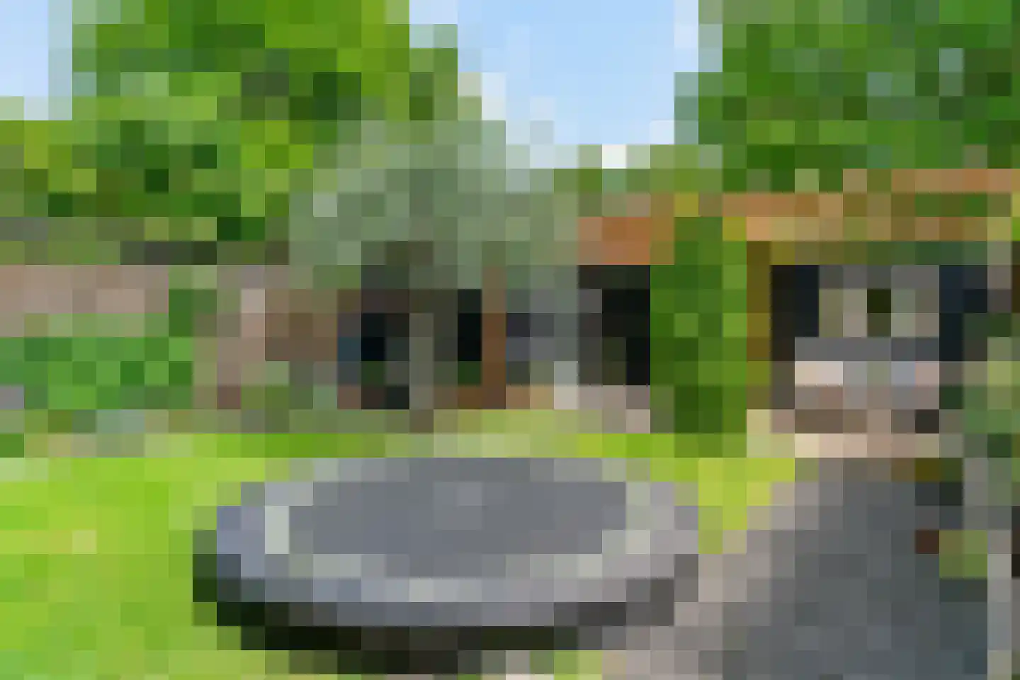 Binnenplaats 42 Blokker thumbnail 39