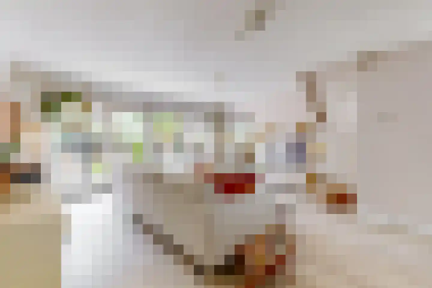 Binnenplaats 42 Blokker thumbnail 9