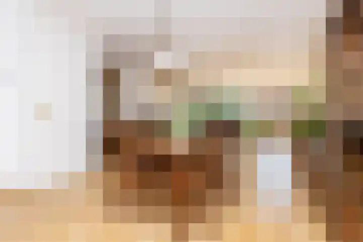 Binnenplaats 44 Blokker thumbnail 17