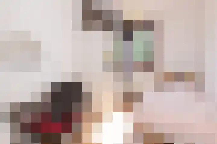 Binnenplaats 44 Blokker thumbnail 26