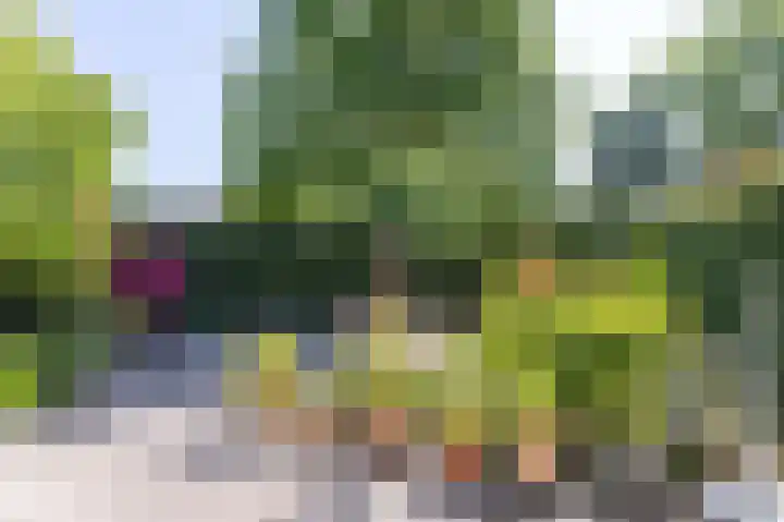 Binnenplaats 44 Blokker thumbnail 32