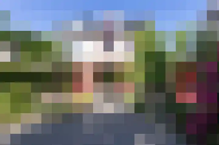 Binnenplaats 44 Blokker thumbnail 35