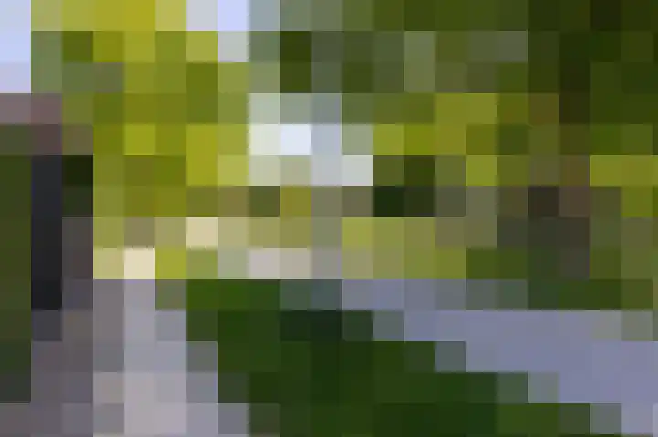Binnenplaats 44 Blokker thumbnail 36