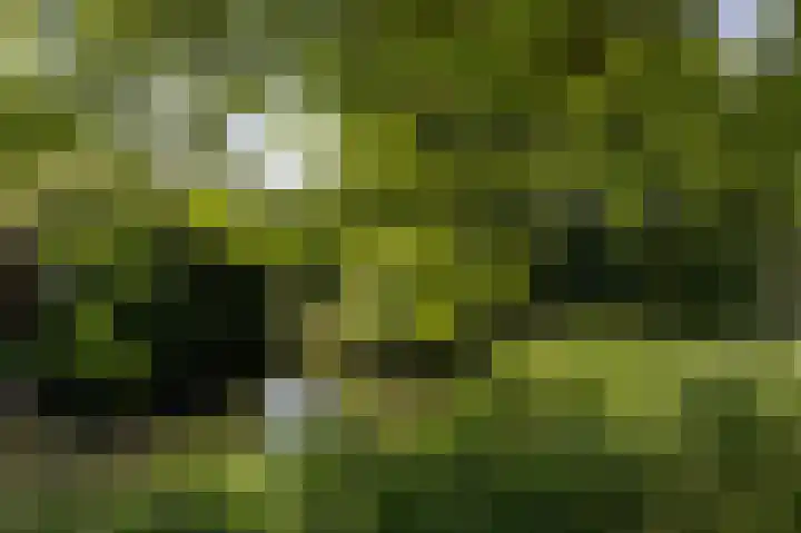 Binnenplaats 44 Blokker thumbnail 38