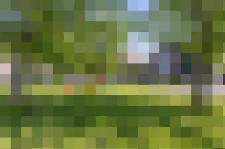 Binnenplaats 44 Blokker thumbnail 39