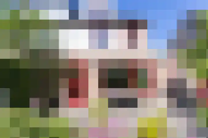 Binnenplaats 44 Blokker thumbnail 4