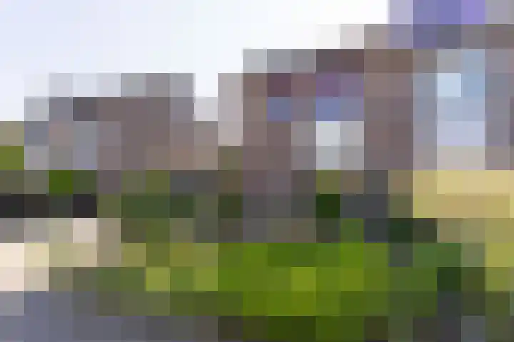 Binnenplaats 44 Blokker thumbnail 6