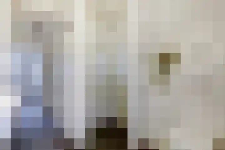 Binnenplaats 68 Blokker thumbnail 16
