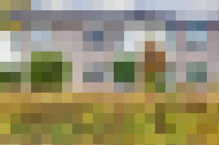 Binnenplaats 68 Blokker foto 2