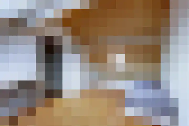 Binnenplaats 68 Blokker thumbnail 20