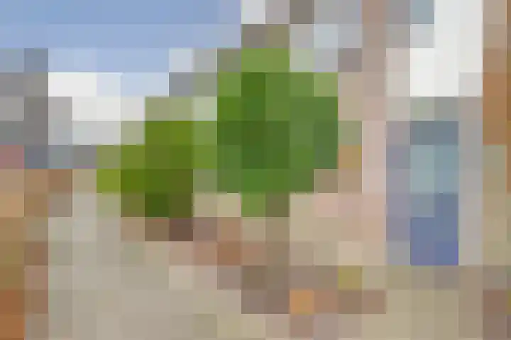 Binnenplaats 68 Blokker thumbnail 27