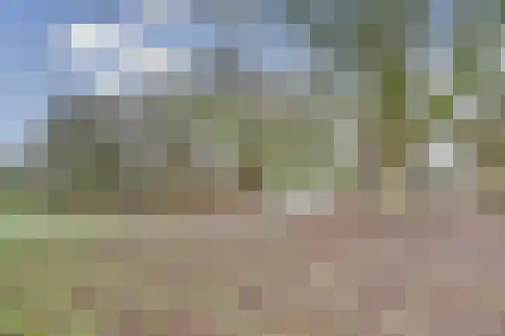 Binnenplaats 68 Blokker thumbnail 28