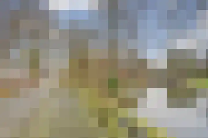 Binnenplaats 68 Blokker thumbnail 29
