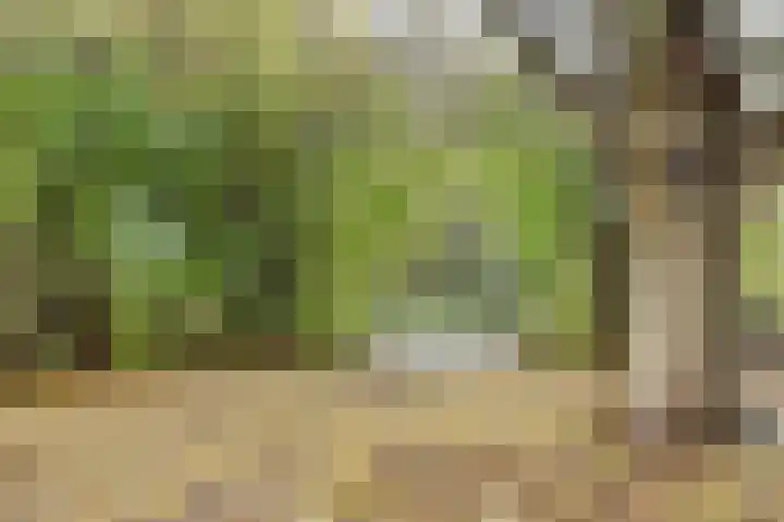 Binnenplaats 68 Blokker thumbnail 30