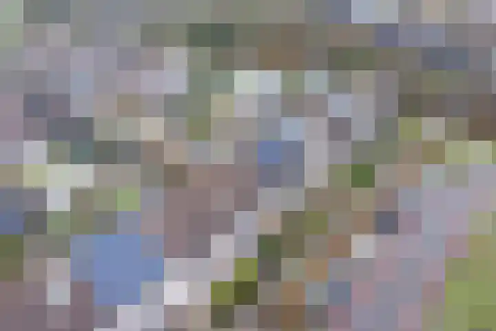 Binnenplaats 68 Blokker thumbnail 33